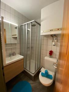 a bathroom with a toilet and a shower and a sink at Apartment "Gabi" Sonnleitn/Nassfeld in Sonnenalpe Nassfeld