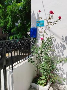 Zahrada ubytování Η Ελπίδα και η Γιάννα ξεκίνησαν ένα χώρο cute
