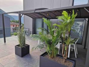 LabPark Terrace في ميلانو: يوجد اثنين من النباتات الفخارية على الشرفة