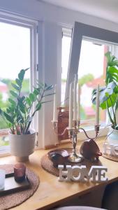 Fotografie z fotogalerie ubytování Boutique Appartement v destinaci Torgau