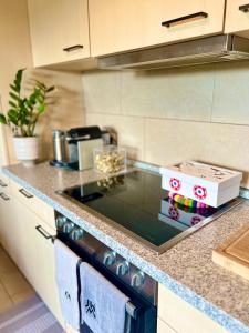 Kuchyň nebo kuchyňský kout v ubytování Boutique Appartement