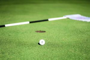 two golf sticks and a ball on a putting green at Hotel am Schloss in Goldegg