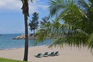 a beach with chairs and a palm tree and the ocean at The Empire Brunei in Bandar Seri Begawan