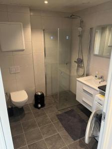 W łazience znajduje się prysznic, toaleta i umywalka. w obiekcie Exclusive Apartment w mieście Stryn