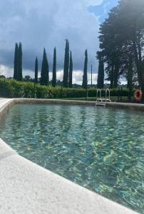 a pool of water with a slide in it at Agriturismo Sant'Anna in Pomarance