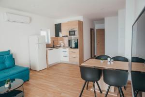 Kuchyň nebo kuchyňský kout v ubytování Apartments Nina Brist