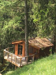 uma cabana de madeira na floresta ao lado de uma árvore em la Cabane dans les Arbres em Saint-Jean-dʼAulps