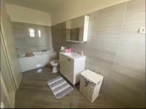 a bathroom with a sink and a toilet and a tub at Holiday home " MIA" in Gradina +14 photos