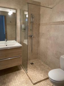 a bathroom with a shower and a toilet and a sink at Hôtel Le Médiéval Palais des Papes in Avignon