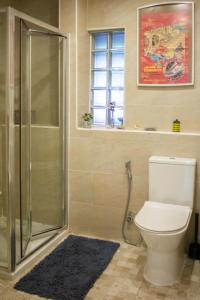 La salle de bains est pourvue de toilettes et d'une douche en verre. dans l'établissement Boho Chic Apt, à Vila Franca de Xira