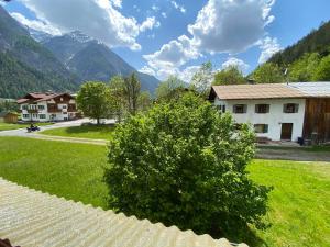 a bush in a yard with a house and mountains at Gästehaus Huber in Holzgau