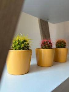 Fotografie z fotogalerie ubytování Apartman Teodora v destinaci Subotica