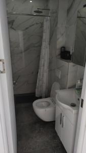 a bathroom with a white toilet and a sink at Alex Apartments Skiathos in Skiathos Town