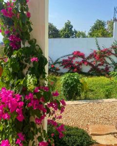 a bunch of pink flowers on a wall at Big Furaha Villa in Kidoti