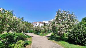 Billede fra billedgalleriet på Tivat Center SeaView Apartment i Tivat + 10 billeder