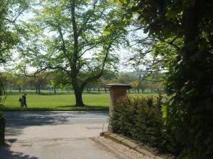 a person walking in a park with a tree at Beautiful 3 bedroom house, central Harrogate in Harrogate