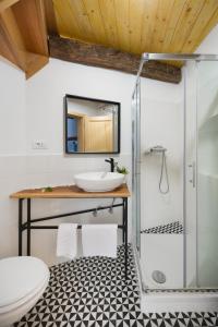 La salle de bains est pourvue d'une douche en verre et d'un lavabo. dans l'établissement Karst Heritage Retreat, à Štanjel