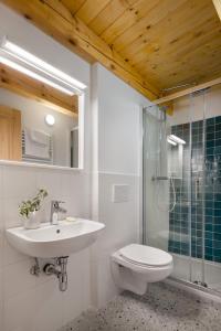 La salle de bains est pourvue de toilettes, d'un lavabo et d'une douche. dans l'établissement Karst Heritage Retreat, à Štanjel