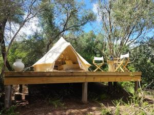 ein Zelt auf einem Holztisch im Wald in der Unterkunft Gaia Double or Twin Bell Tent in Swellendam