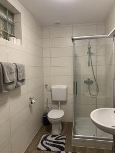 La salle de bains est pourvue de toilettes, d'une douche et d'un lavabo. dans l'établissement Kieslinghof, à Purbach am Neusiedlersee