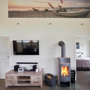 a living room with a fireplace and a tv at Luxuswellnesshaus Strandburg in Bliesdorf
