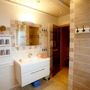 a bathroom with a sink and a mirror and a shower at Wellnesshaus Austernperle in Bliesdorf