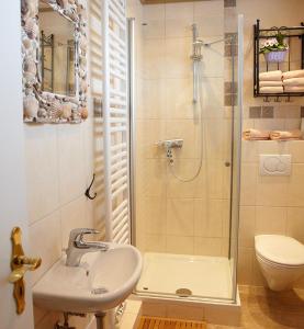 ein Bad mit einer Dusche, einem Waschbecken und einem WC in der Unterkunft Traumgarten in Harmsdorf