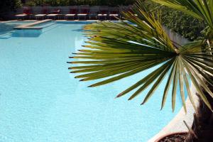 Bazén v ubytování Hotel Friuli nebo v jeho okolí