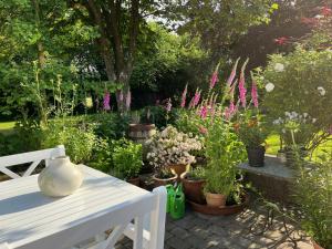 Zahrada ubytování Fuglsang Bed & Breakfast