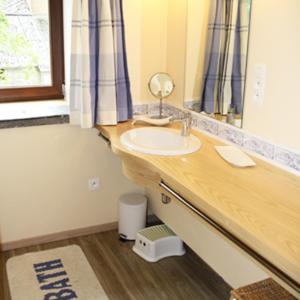 a bathroom with a sink and a mirror at Le Clos des Haies, Silenrieux in Cerfontaine