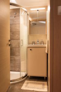 a bathroom with a shower and a sink at Plakoures Home in Kounoupidhianá