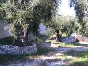 two trees and a stone wall in a yard at B&B Villa Makkalè in Vieste