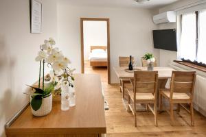 TV a/nebo společenská místnost v ubytování Guesthouse Turšič