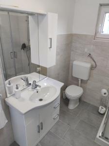 uma casa de banho com um lavatório branco e um WC. em Na Zeleni cesti / On the green road em Dekani
