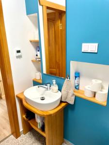 a bathroom with a sink and a mirror at Brīvdienu apartaments Melnsilā in Melnsils