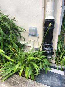 Zahrada ubytování Appartement L'Embarcadère