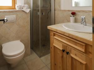 ein Bad mit einem WC, einem Waschbecken und einer Dusche in der Unterkunft Apartment Les Etagnes 2est by Interhome in Nendaz