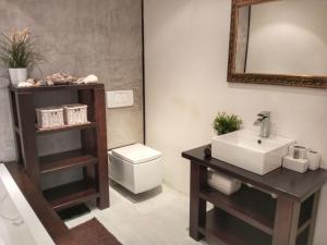 La salle de bains est pourvue d'un lavabo, de toilettes et d'un miroir. dans l'établissement Holiday Home Řevnice by Interhome, à Řevnice