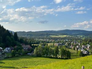a green hillside with houses and a town at Holiday Home Kesslerberg by Interhome in Hinterzarten