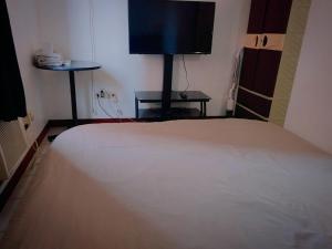1 dormitorio con 1 cama y TV de pantalla plana en Isabelle Garden Villas 429 en Manila