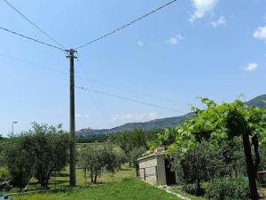 a small house in a field with trees at Casa dell'Ulivo in Pergognano