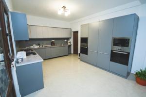 a large kitchen with blue cabinets and appliances at La Roby si Niko in Dubova