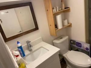 a bathroom with a toilet and a sink and a mirror at Private Basement Room 0363 in Toronto