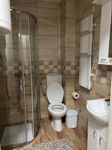 een badkamer met een douche, een toilet en een wastafel bij Ivana apartman in Vrnjačka Banja