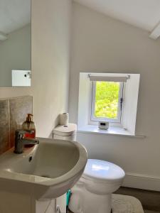 een badkamer met een wastafel, een toilet en een raam bij Abbeville in Two Dales