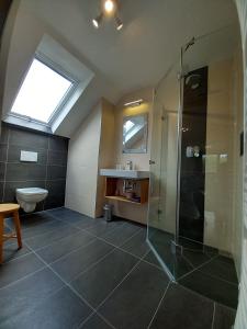 een badkamer met een douche, een toilet en een wastafel bij Ferienoase Hinterhermsdorf in Hinterhermsdorf