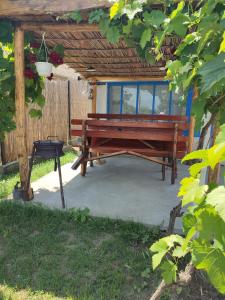 Zahrada ubytování Casa Traditionala Clisciova