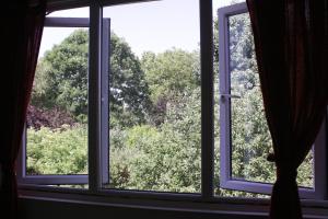 an open window with a view of trees at Sandford Meadow Guest House in Oxford