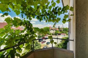 Balkón nebo terasa v ubytování Vila Eliade