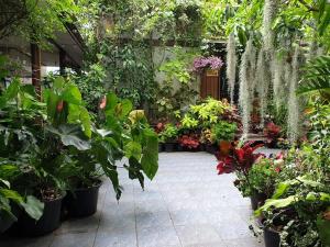 a garden center with plants and flowers in a yard at 37 Nature House in Bangkok